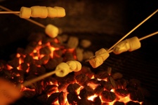 Coffee Hour: S'mores